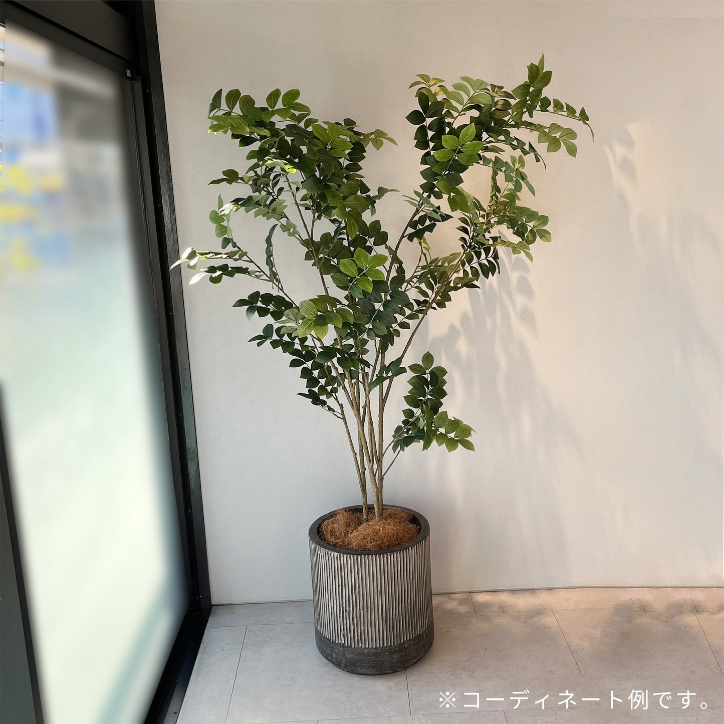 【大型鉢】チャコールストライプポット