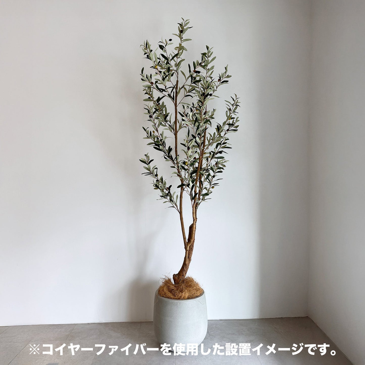 【資材】コイヤーファイバー100g