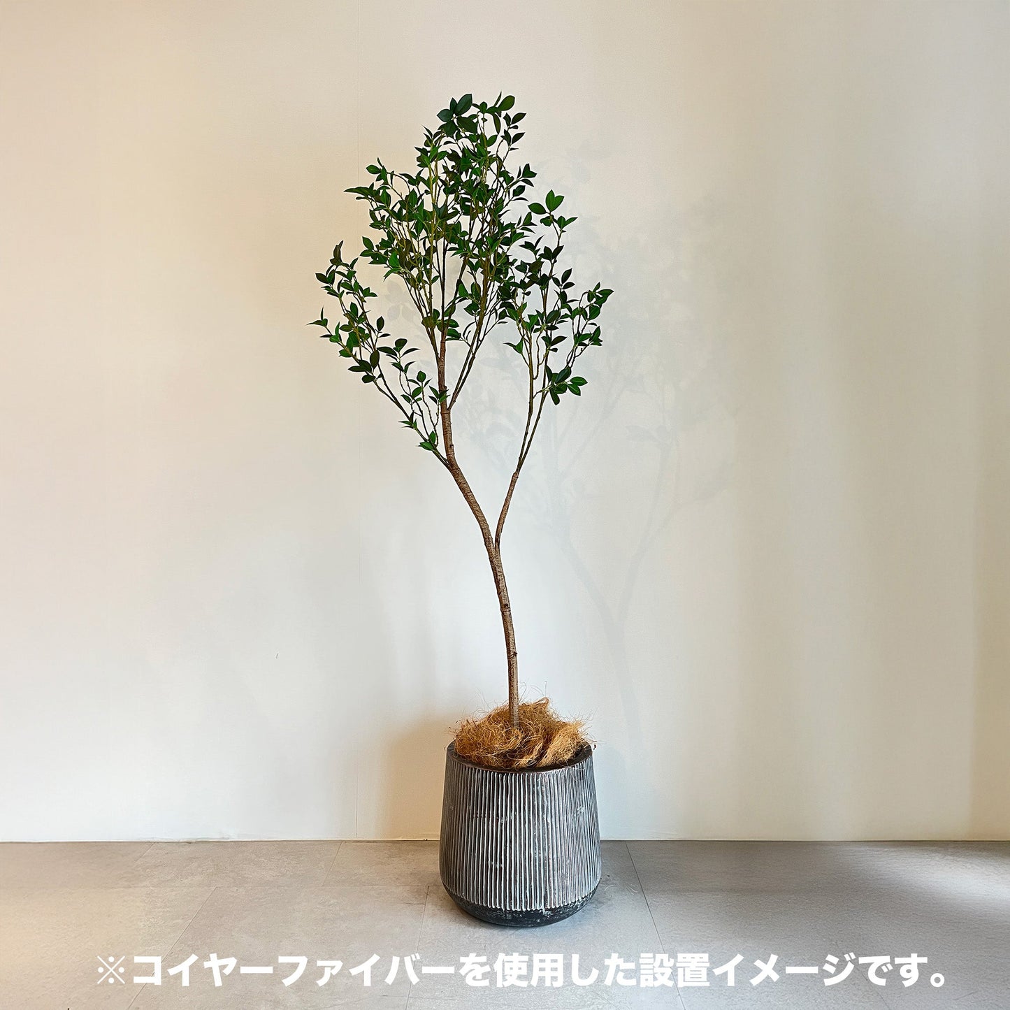 【資材】コイヤーファイバー100g