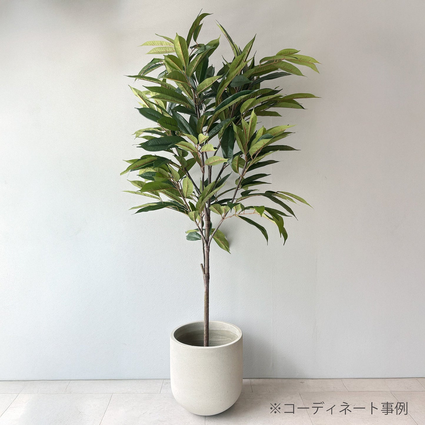 【大型鉢】ナチュラルセメントラウンドポット